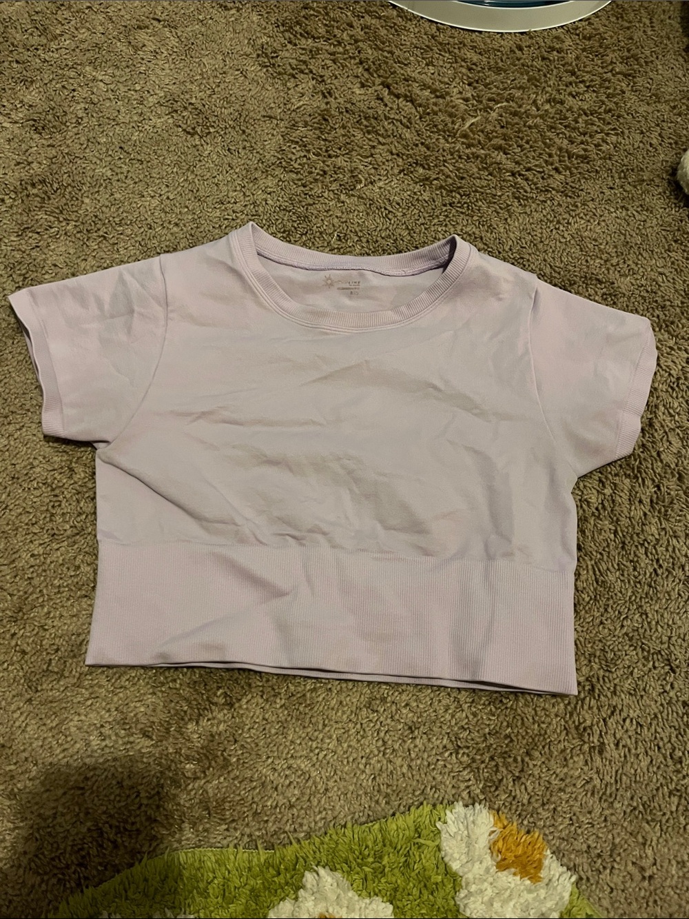 Light Lavender Cropped Tee aerie offline medium - Picture 1 of 3